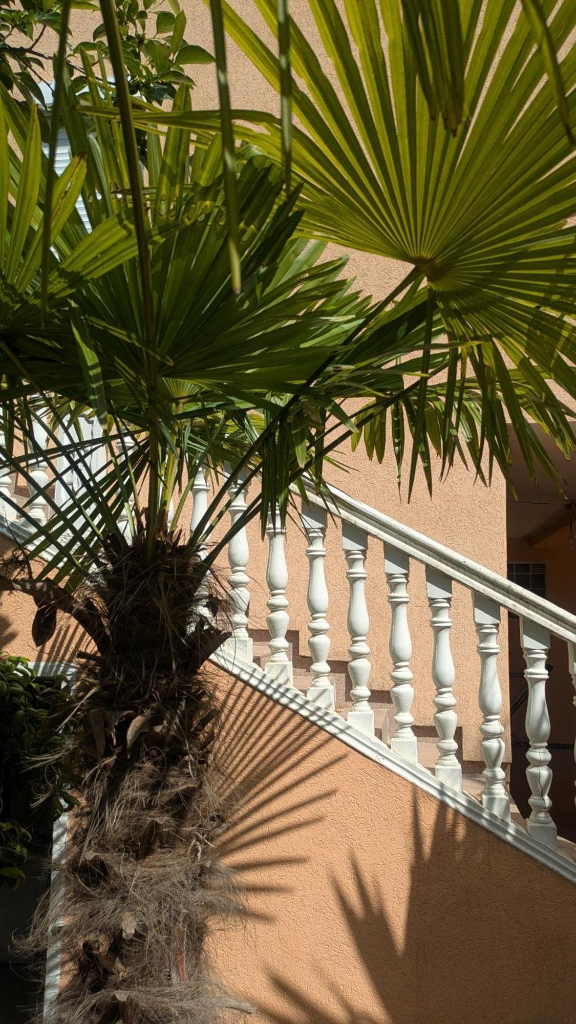 Apartments Montenegrina Ulcinj Exterior photo